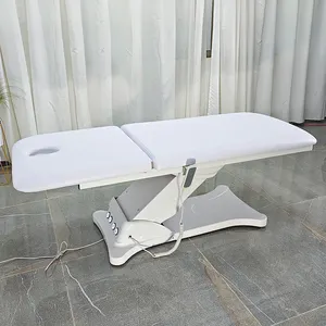 Ce Modern Beauty Salon Massage Aesthetic Bed Color Optional PVC Leather 2 Motor Electric Treatment Table Eye Lash Bed