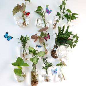 Maceta <span class=keywords><strong>de</strong></span> Cristal Creativa para Plantas Hidropónicas Colgantes, con Forma <span class=keywords><strong>de</strong></span> <span class=keywords><strong>Huevo</strong></span> <span class=keywords><strong>de</strong></span> Dinosaurio, para Montar en la Pared, Transparente, para Flores, Pecera Pequeña, Estilo Moderno y Simple - Product Image 4