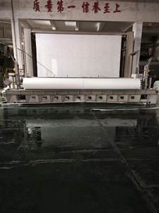 Sbs/ऐप वाटरप्रूफ झिल्ली के लिए सफेद लंबे स्टेपल पॉलिएस्टर चटाई - Product Image 5