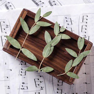 Feuilles d'<span class=keywords><strong>eucalyptus</strong></span> et d'<span class=keywords><strong>eucalyptus</strong></span> naturelles, pièces, fournitures de fabrication de bijoux en résine, plante naturelle, vraie fleur pressé, écologique - Product Image 1