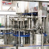 Automatische dranken- en sapvulfabriek 10000BPH 0,5L/500ml PET flesvulfles- en afsluitmachine