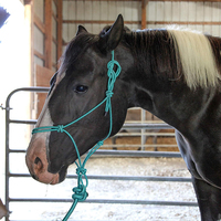 Fabricant professionnel de produits équestres : Licol d'entraînement avec longe pour l'équitation, licols et longes pour chevaux