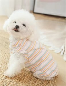 Toptan yeni tasarım çok renkli şerit köpek kedi yaz yelek yumuşak pamuk evcil hayvan giysileri gömlek örme tavşan ile - Product Image 6