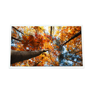 G104STN01.6 จอแสดงผล TFT LCD รุ่นล่าสุด ขนาด 10.4 นิ้ว 800*600 สำหรับอุตสาหกรรม - Product Image 1