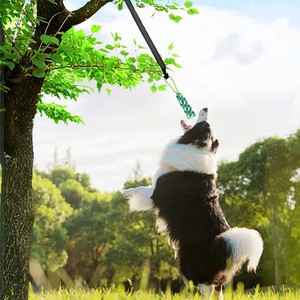 Juguete elástico <span class=keywords><strong>de</strong></span> cuerda para perros, tipo tira y afloja, con cuerda reemplazable y pelota para masticar, interactivo, para colgar al aire libre, para perros medianos y grandes. - Product Image 2