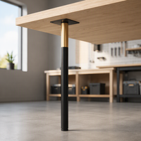 Pied de meuble en métal noir doré, tube rond, avec base de montage pour table, canapé, armoire, chaise