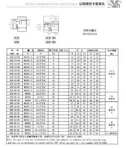 Trung Quốc Nhà Sản Xuất 5CB-RN BSP Nữ Thép Carbon Thép Không Gỉ Thủy Lực Adapter Nén Loại Cắn Ống Nối - Product Image 6