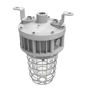 Projecteur antidéflagrant Classe 1 Division 1 UL844 avec globe en verre et protection en acier inoxydable 20W 30W 40W homologué UL ETL - Product Image 6