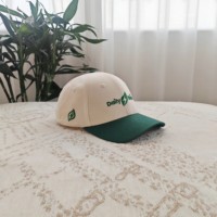 Gorra de Béisbol de Sarga de Algodón de 6 Paneles con Logotipo Personalizado al por Mayor, Gorra Estructurada con Hebilla Metálica para Eventos Promocionales, Suministro a Granel