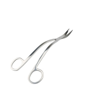 Forbici Professionali in Acciaio Inox Jusuo per <span class=keywords><strong>Acquario</strong></span>, Forbici a Onda a Specchio Argento per Piante d'<span class=keywords><strong>Acquario</strong></span> - Product Image 4