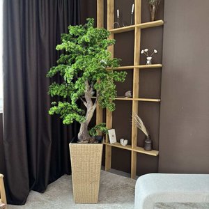 Bonsaï artificiel de pin de luxe dans un pot décoratif |   Faux réaliste fait main pour les designers d'intérieur, les hôtels - Product Image 1