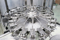 Machine de remplissage automatique de jus de fruits 2000BPH pour produits alimentaires et boissons, ligne d'embouteillage de jus d'eau de 500 ml