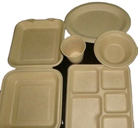 Machine de fabrication de plaques en bagasse, petite unité pour barquettes alimentaires et emballages à clapet