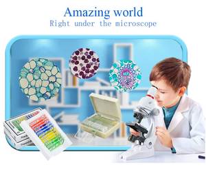 子供向け学校用既製顕微鏡スライド-ユリンブランドプラスチック製動物昆虫植物花サンプル単眼鏡用組織標本 - Product Image 3