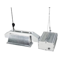 Accesorio de luz DE HPS DE 1000W con balasto electrónico Reflector Alanod para invernadero tienda de cultivo hidropónico para 220V