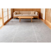 Nouveau produit : Carrelage de salon en porcelaine rustique 600x600, finition mate