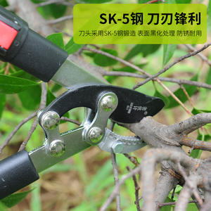 Cisailles de taille télescopiques Old Friend, lame en acier allié 500 mm, diamètre de coupe 20-30 mm, structure papillon - Product Image 4