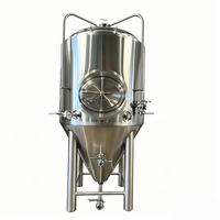 Cuve de fermentation 30HL 3000L en acier inoxydable 316L, capacité personnalisable, grande capacité, pour brasserie