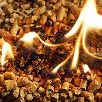 Pabrik Kualitas Bagus Bahan Bakar Padat Alami Pelet Kayu 15Kg Tas untuk Dijual Ditekan