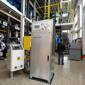 Ozongenerator Van C-30 Gram/H Met Zuurstofconcentrator Gebruik Voor Lucht En Waterzuivering - Product Image 5