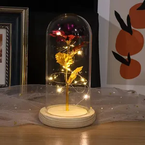 24K Goud Folie Galaxy Rose Vergulde Valentijn Dag Geschenken In Glas Dome Decor Led Arcoiris Regenboog 24K goudfolie Gedoopt