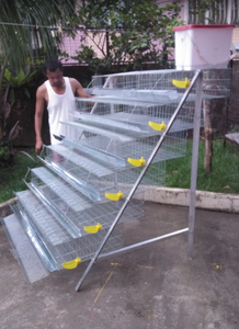 <span class=keywords><strong>Cages</strong></span> à cailles pyramidales neuves en promotion, fil d'acier à faible teneur en carbone, prix compétitif, fabriqué en Chine - Product Image 3