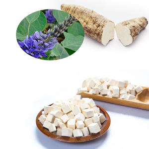 Pueraria kudzuvine gốc rễ của Kudzu nho chiết xuất puerarin kakkonein Radix polygoni multiflor - Product Image 3