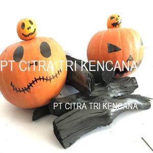 CAMPING PACK IN 2 KG 3 KG EASY CARRY 2-3 HOUR BURN CHARCOAL, NATURAL WOOD CHARCOAL, BBQ CHARCOAL BEST SELLER Melbourne AUSTRALIA - Product Image 1