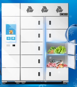 Thương Mại Điện Tử Tủ Lạnh Hiển Thị Tủ Đông Mát Locker Pick-Up Đá Cẩm Thạch Trắng LED Ánh Sáng Thủy Tinh Phong Cách Điện - Product Image 4