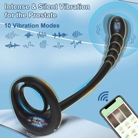 Vibrateur sans fil contrôlé par application pour stimulation anale/point G, masseur de prostate et de testicules masculin, stimulateur de plug anal, télécommande, jouet sexuel pour adulte