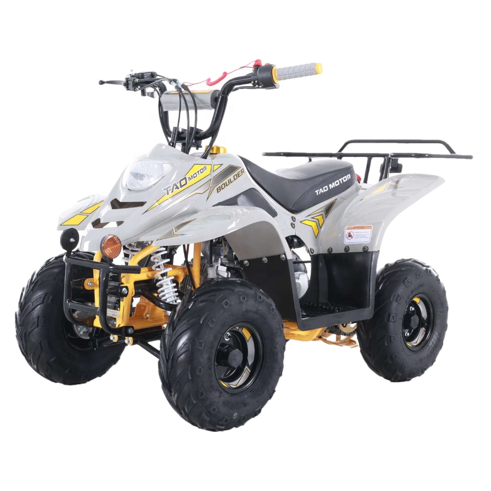 Новый дизайн мотора Tao, дешевый фермерский детский ATVs 110cc ATV для продажи