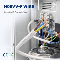 Proveedor Mayorista de Cables H05VV-F, Cable Eléctrico Personalizado OEM/ODM, Cable de Cobre Multifilar para Cableado Interno General