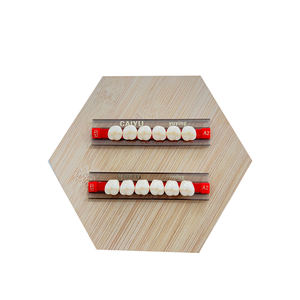 <span class=keywords><strong>CAIYU</strong></span> dental fabricante de dientes de resina acrílica con CE ISO posterior dentadura postiza - Product Image 4