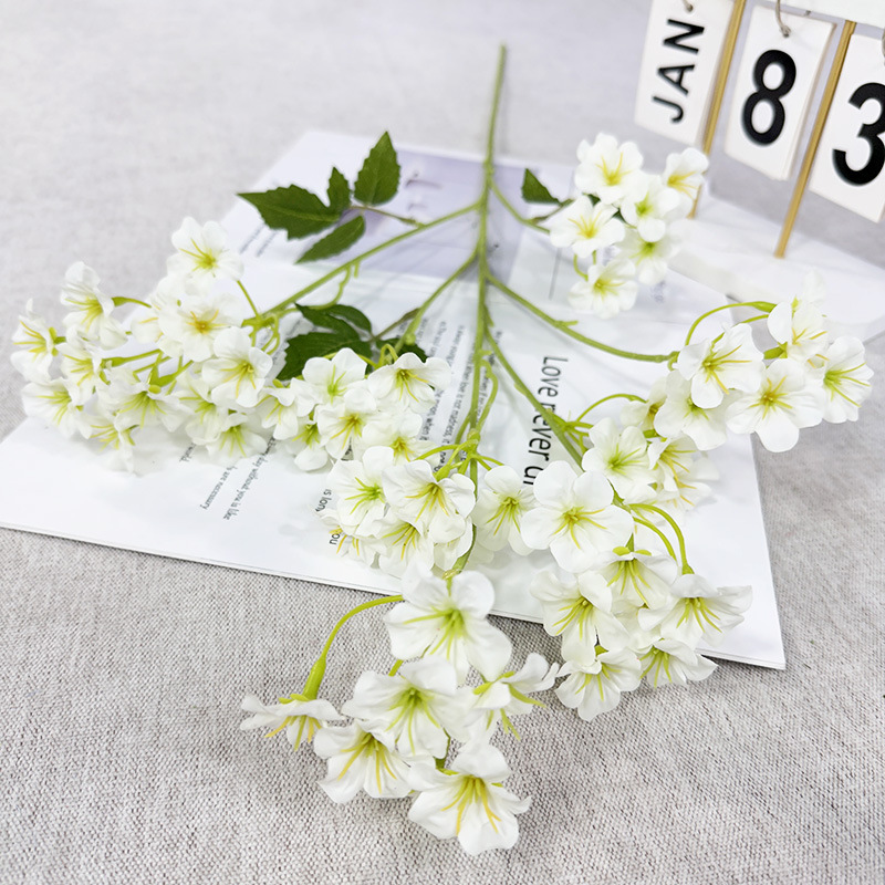 Blanc de lait