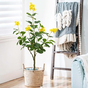 4FT gros <span class=keywords><strong>jasmin</strong></span> artificiel jaune fleur arbre avec Pot pour bureau à domicile mariage noël nouvel an décoration bonsaï plante - Product Image 1