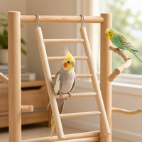 Jouet en bois pour oiseaux, accessoires pour cage à oiseaux, petite échelle colorée pour grimper, design anti-évasion, fabriqué dans le Zhejiang