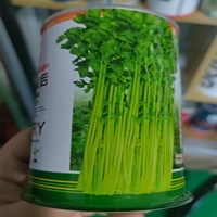 Boîtes de conserve en métal pour l'emballage de graines de pastèque ovales noires Boîtes vides Boîtes rondes vides pour graines de légumes