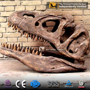 Mon Dino En Fiber De Verre Résine Grand dinosaure Allosaurus Tête crâne Réplique Dans le Hall D'exposition - Product Image 4