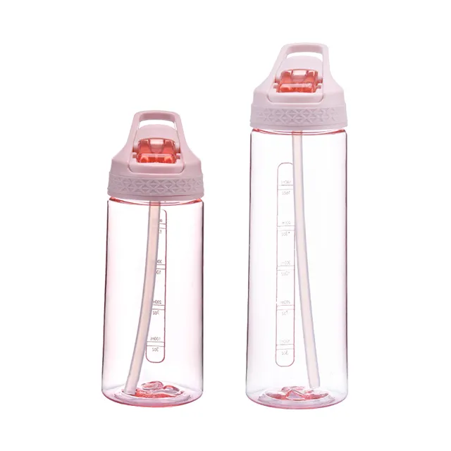 Customized Plastic Water Bottles 650ml Custom Motivational Insulated Drinking Water Bottle With Straw Plastic 500ml
