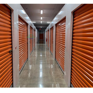 Fabricante profesional Compra a granel Precio de fábrica: puertas enrollables de acero galvanizado para mini unidades de almacenamiento - Product Image 6