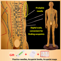 Acupuncture 62CM et point de moxibustion Modèle humain Corps entier Médecine traditionnelle chinoise Diagramme des douze méridiens
