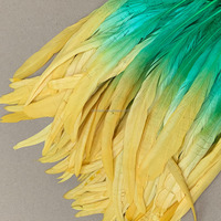 Plumes de queue de coq blanchies et teintes en deux tons en gros pour costumes de carnaval, décoration de fête et artisanat