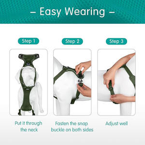 La Linea Luminosa è Chiaramente Visibile Sotto la Luce Pettorina Riflettente per Addestramento Cani di Taglia Grande e Media - Product Image 3