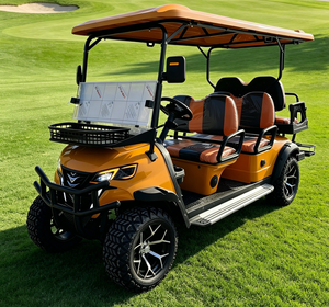 Voiturette de golf électrique 6 places personnalisable, fabriquée en Chine, avec rideau de pluie, tout-terrain, homologuée LSV - Product Image 2
