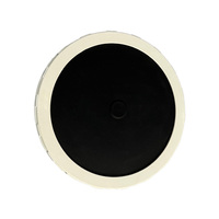Diffuseur à disque Micro-bulles fines Aérateur à disque pour le traitement des eaux usées Diamètre 215-330 mm EPDM ou silicone Personnalisable