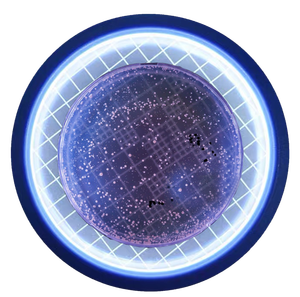 Contatore Automatico Wireless Digitale a Sensore di Pressione per Colonie con Batteria per Laboratorio - Product Image 3