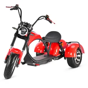 Factory Direct Sales Motorcycle Electric Tricycle With EEC/COC Certificate 3 Wheel Electric Scooter