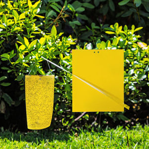 Trappola per Insetti a Stato Solido Impermeabile Ecologica 20x25cm per Interni/Esterni, Cattura Mosche e Zecche, Gialla - Vendita Calda - Product Image 4