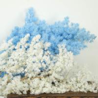 Bouquet de fleurs préservées Moon Yu Melaleuca Bracteata - Fête des Mères, Noël, Mariage, Halloween, Décoration d'intérieur - Vente directe fabricant