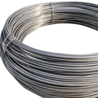 Fil de ressort en acier inoxydable étiré SS 201 302 304H 316 0,6 mm 0,8 mm 1 mm 2 mm